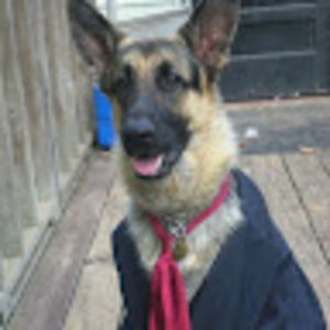 Meet your Posher, Patrick